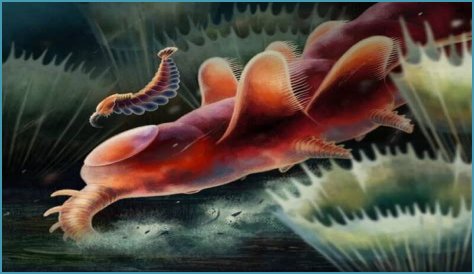 Prehistoric Marine Fossils Uncovered In Welsh Sheep Field